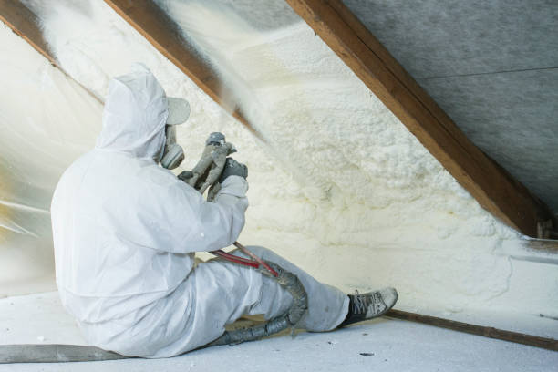 Best Basement Insulation  in Rossville, TN